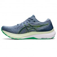 Кросівки для бігу чоловічі Asics GEL-KAYANO 29 Steel blue/Lime zest